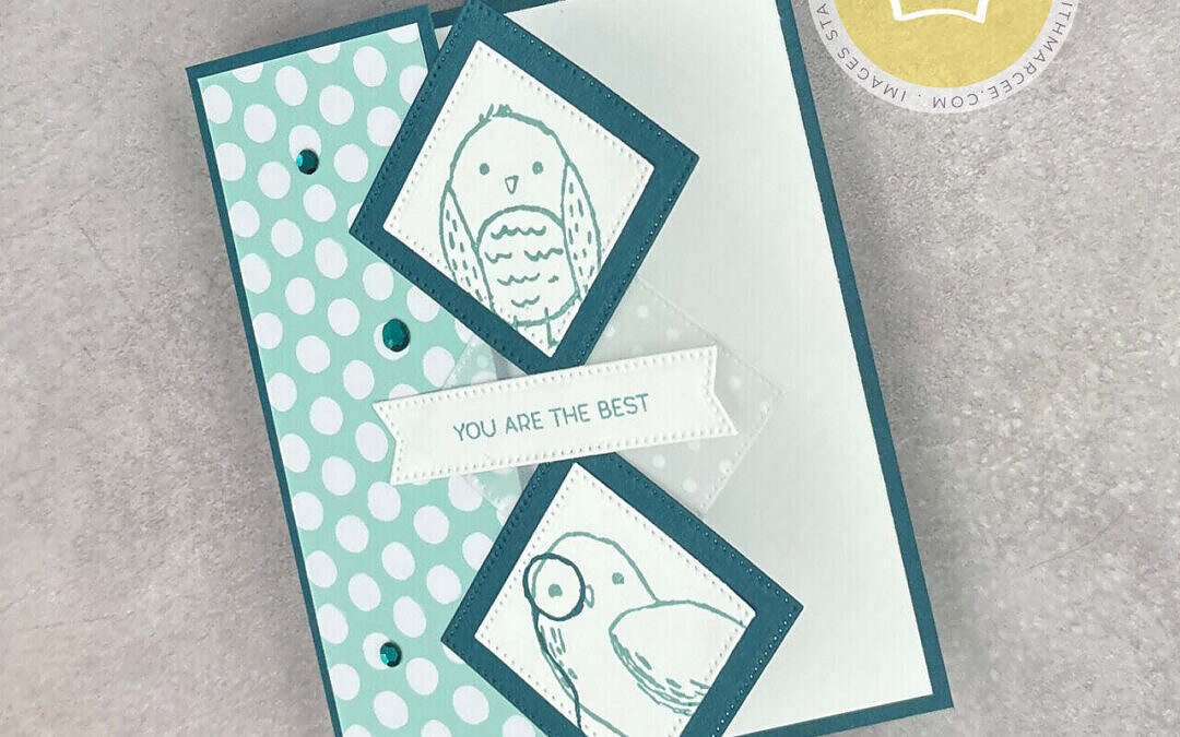 Fun Card Class with the Bird’s Eye View Stamp Set by Stampin’ Up!